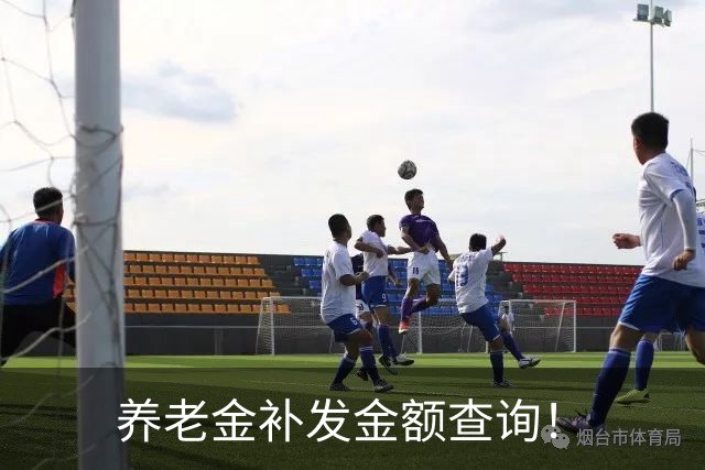 养老金补发金额查询！