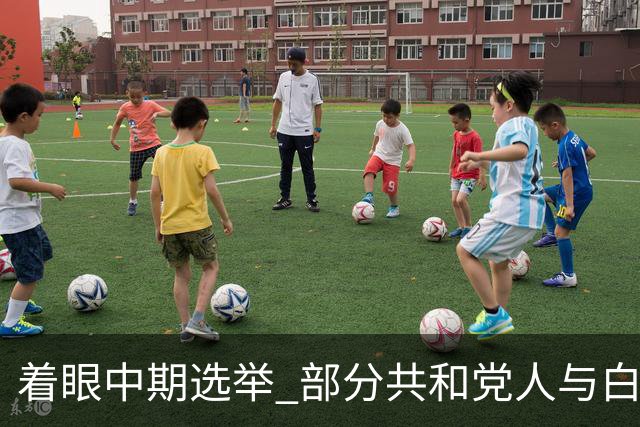 着眼中期选举 部分共和党人与白宫对俄政策切割